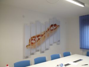 Targa in plexiglass trasparente con immagine separata in più pannelli