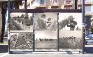 Decorazione gazebo vigili urbani